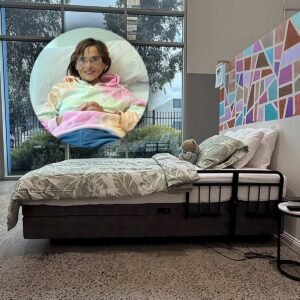 Voice Control Homecare Hi-lo Bed